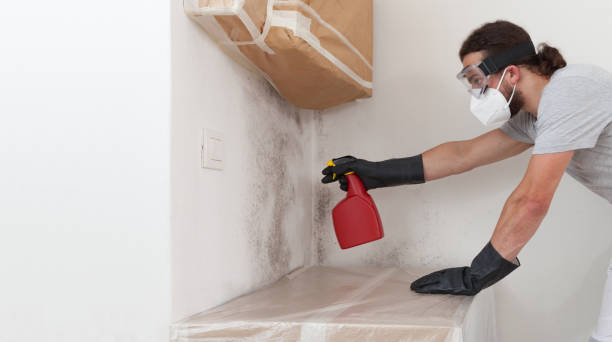 Professional Attic Mold Removal technician working in Netcong, NJ